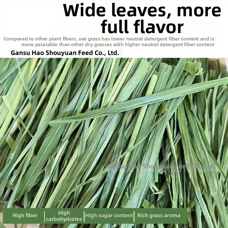 Sausa barība trušiem un maziem grauzējiem – vispārējai lietošanai; 1 kg kastē; Izcelsme: Gansu; Produkta kategorija: Mājdzīvnieku barība