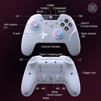 Bežični gamepad X20 s USB sučeljem, RGB osvjetljenjem, 4 programabilne stražnje tipke, kompatibilan s Nintendo Switch, PC, iOS, Android i Steamom