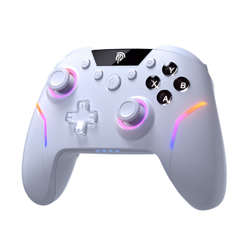 Bežični gamepad X20 s USB sučeljem, RGB osvjetljenjem, 4 programabilne stražnje tipke, kompatibilan s Nintendo Switch, PC, iOS, Android i Steamom