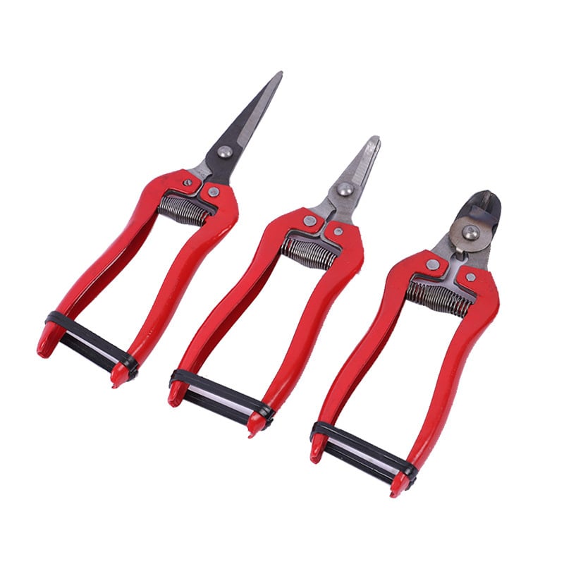 Škare za rezanje voćnih stabala, berba voća, vrtne škare s pravim oštricom i željeznom drškom — Dezhihu