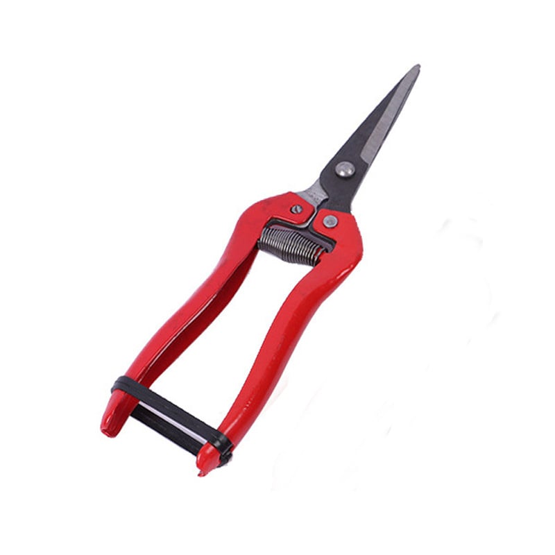 Škare za rezanje voćnih stabala, berba voća, vrtne škare s pravim oštricom i željeznom drškom — Dezhihu