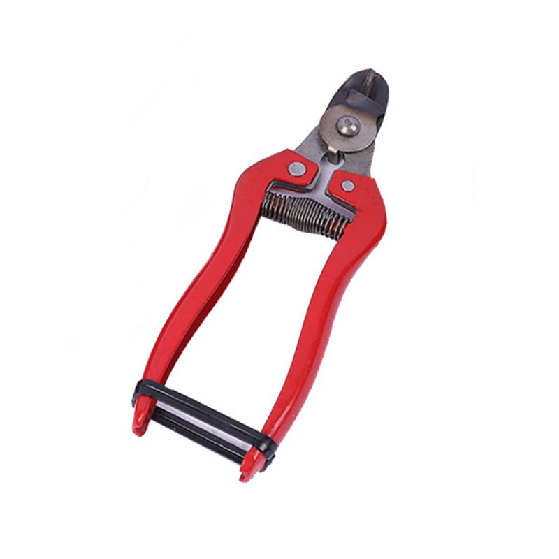 Škare za rezanje voćnih stabala, berba voća, vrtne škare s pravim oštricom i željeznom drškom — Dezhihu