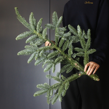 Importált Noble Pine karácsonyfa ágak – Friss vágott zöld lomb a házi kertészkedéshez (Típus: Egyéb; Anyag: Egyéb; Importált)