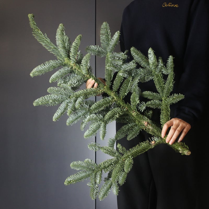 Importált Noble Pine karácsonyfa ágak – Friss vágott zöld lomb a házi kertészkedéshez (Típus: Egyéb; Anyag: Egyéb; Importált)