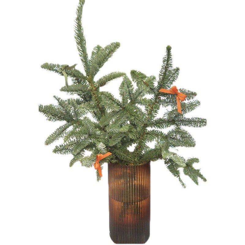 Importált Noble Pine karácsonyfa ágak – Friss vágott zöld lomb a házi kertészkedéshez (Típus: Egyéb; Anyag: Egyéb; Importált)