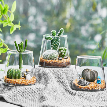 Vulkāniskais mikrou ainavu pudele – augstas borosilikāta stikla, Independence zīmols, kartona iepakojums, galda dekors