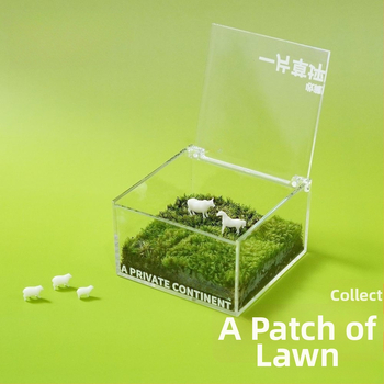 Darba galda sūnu mikro ainava kastē — rokas darbs, pielāgojama, materiāls: sūnas, logotipa druka pieejama