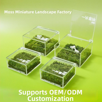 Darba galda sūnu mikro ainava kastē — rokas darbs, pielāgojama, materiāls: sūnas, logotipa druka pieejama