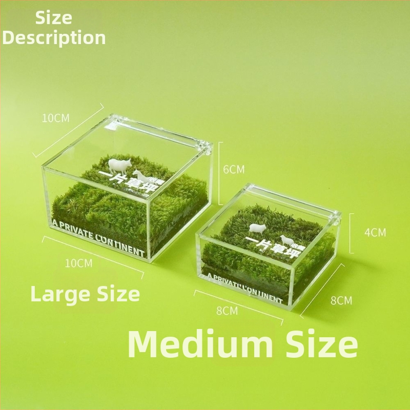 Darba galda sūnu mikro ainava kastē — rokas darbs, pielāgojama, materiāls: sūnas, logotipa druka pieejama