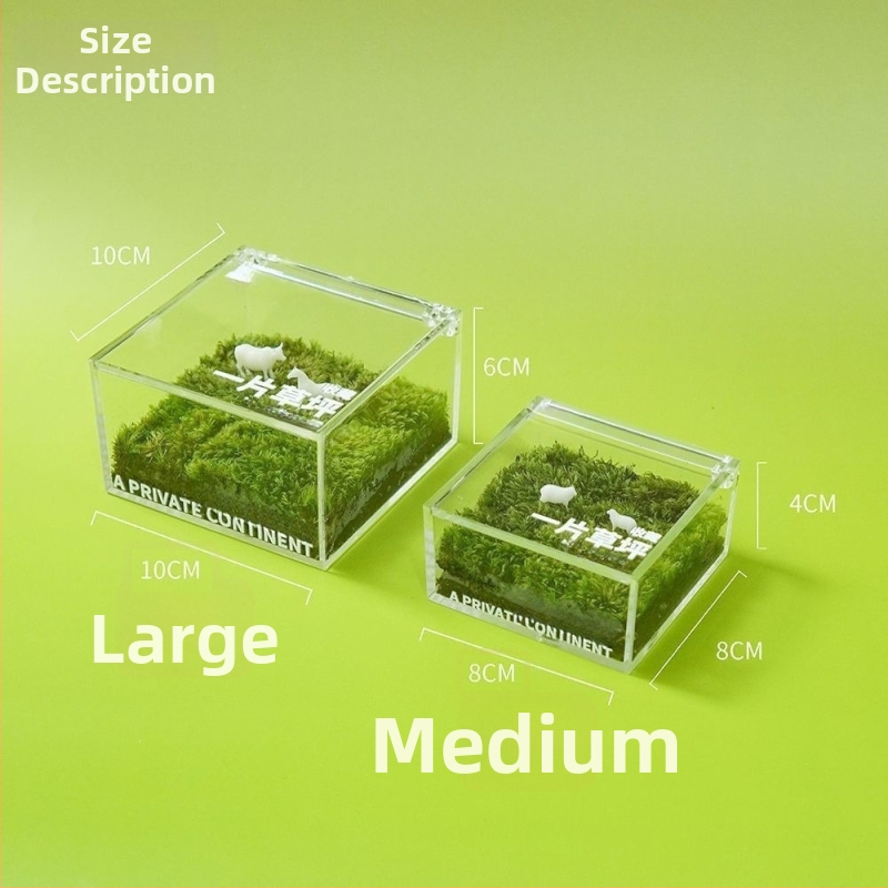 Darba galda sūnu mikro ainava kastē — rokas darbs, pielāgojama, materiāls: sūnas, logotipa druka pieejama