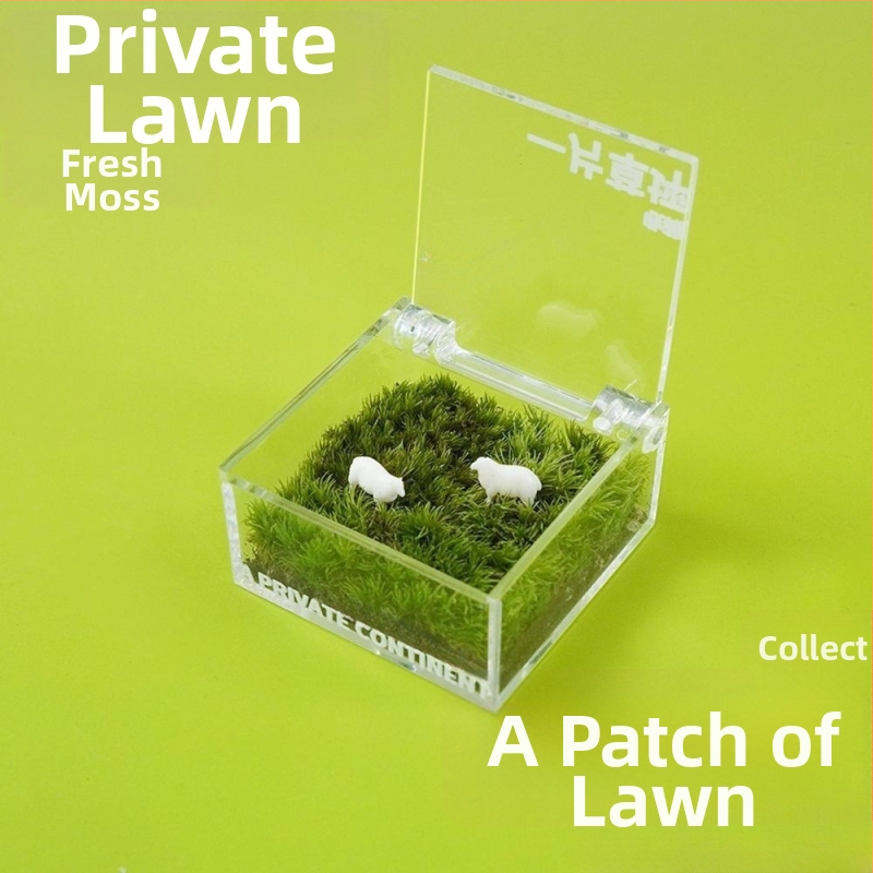 Darba galda sūnu mikro ainava kastē — rokas darbs, pielāgojama, materiāls: sūnas, logotipa druka pieejama