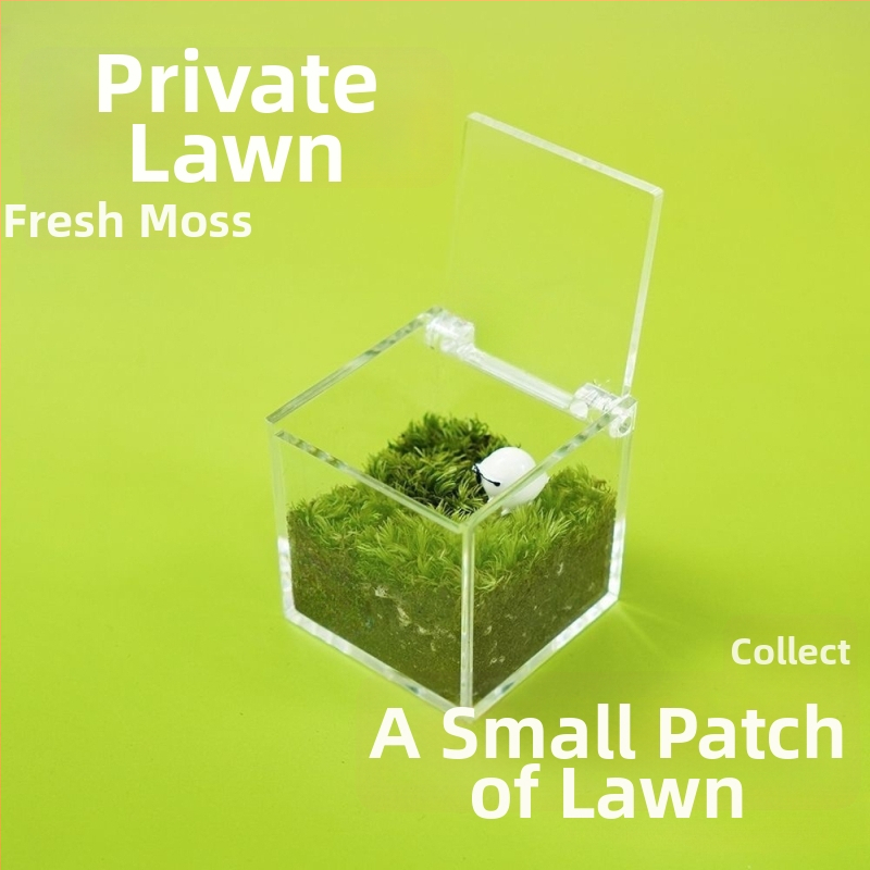 Darba galda sūnu mikro ainava kastē — rokas darbs, pielāgojama, materiāls: sūnas, logotipa druka pieejama