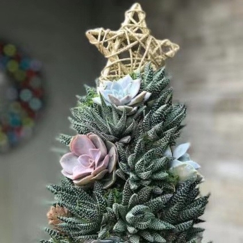 Διακοσμητικό γραφείου με χριστουγεννιάτικο δέντρο από ρητίνη, cartoon στυλ για μικροτοπίο