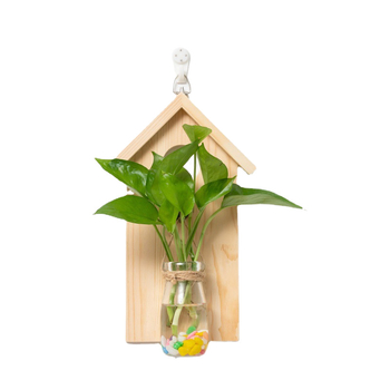 Vas de sticlă pentru tuburi de test în ramă din lemn — pentru montare pe perete, lucrat manual, suprafață lustruită, recipient hidroponic simplu și modern pentru plante