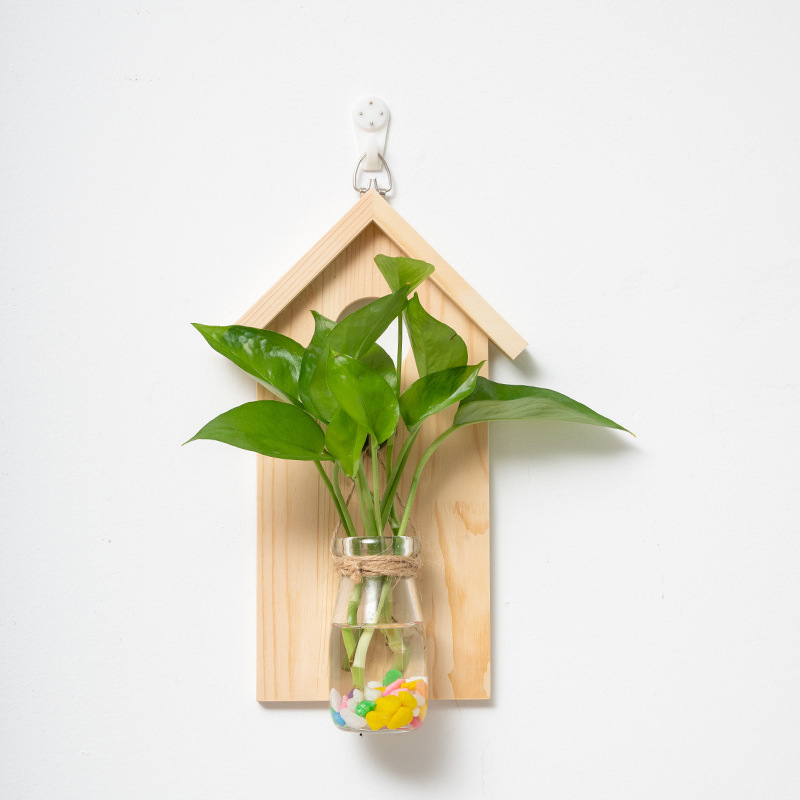 Vas de sticlă pentru tuburi de test în ramă din lemn — pentru montare pe perete, lucrat manual, suprafață lustruită, recipient hidroponic simplu și modern pentru plante