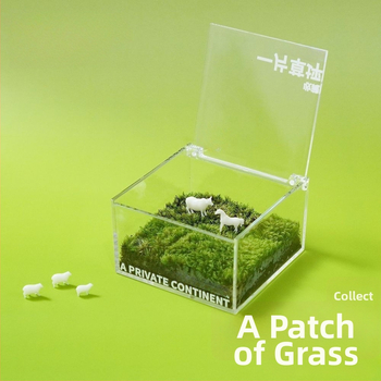 Galda sūnu mikro ainava — Materiāls: sūnas; Galda dekors; Piemērots kā uzņēmumu dāvanas; IP tiesības nav licencētas