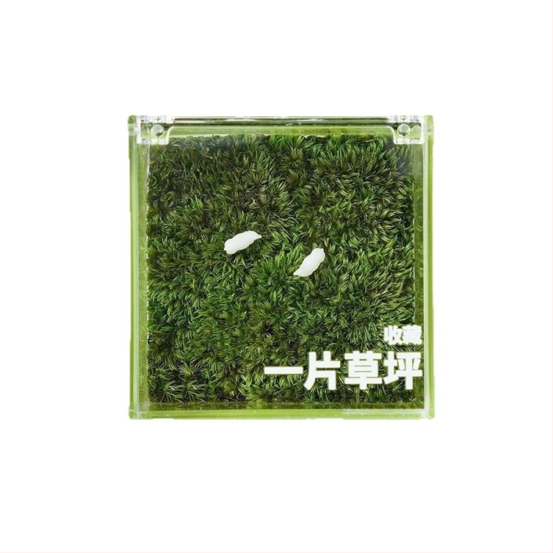 Galda sūnu mikro ainava — Materiāls: sūnas; Galda dekors; Piemērots kā uzņēmumu dāvanas; IP tiesības nav licencētas