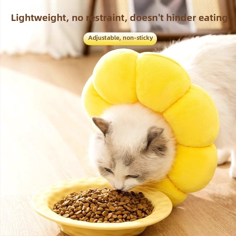 Guler Elisabetan pentru pisici și câini — protecție împotriva linsului și zgârieturilor; fix, material: alt; categorie: lanțuri pentru animale de companie