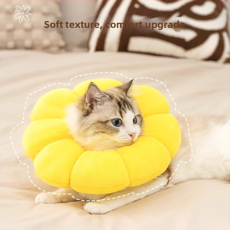 Guler Elisabetan pentru pisici și câini — protecție împotriva linsului și zgârieturilor; fix, material: alt; categorie: lanțuri pentru animale de companie