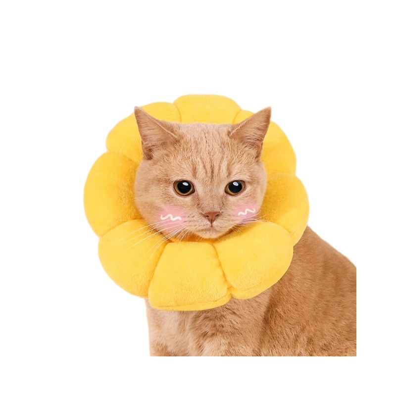 Guler Elisabetan pentru pisici și câini — protecție împotriva linsului și zgârieturilor; fix, material: alt; categorie: lanțuri pentru animale de companie