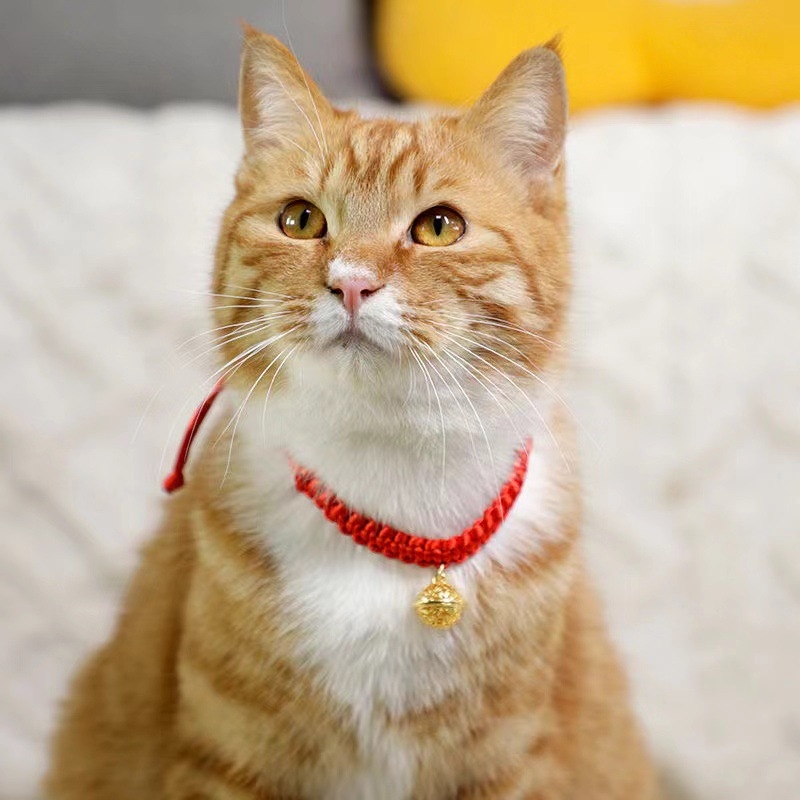 Roku darīts mājdzīvnieku kaklars, aukla austs, zvaniņš, regulējams, metāls