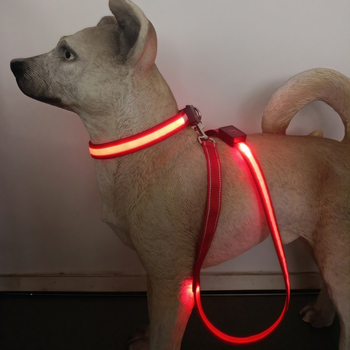 Lesă pentru câine USB reîncărcabilă cu LED, bandă reflectorizantă din nylon – neextensibilă pentru plimbări nocturne