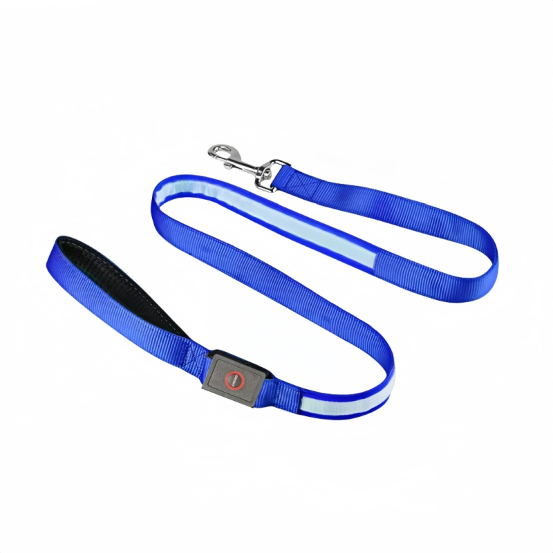 Lesă pentru câine USB reîncărcabilă cu LED, bandă reflectorizantă din nylon – neextensibilă pentru plimbări nocturne