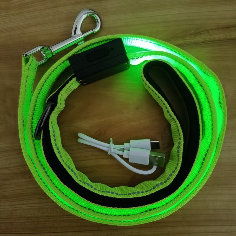 Lesă pentru câine USB reîncărcabilă cu LED, bandă reflectorizantă din nylon – neextensibilă pentru plimbări nocturne