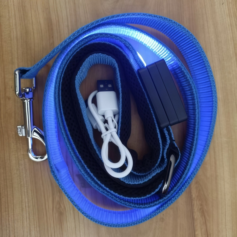 Lesă pentru câine USB reîncărcabilă cu LED, bandă reflectorizantă din nylon – neextensibilă pentru plimbări nocturne