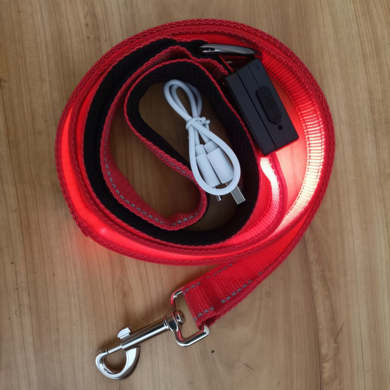 Lesă pentru câine USB reîncărcabilă cu LED, bandă reflectorizantă din nylon – neextensibilă pentru plimbări nocturne