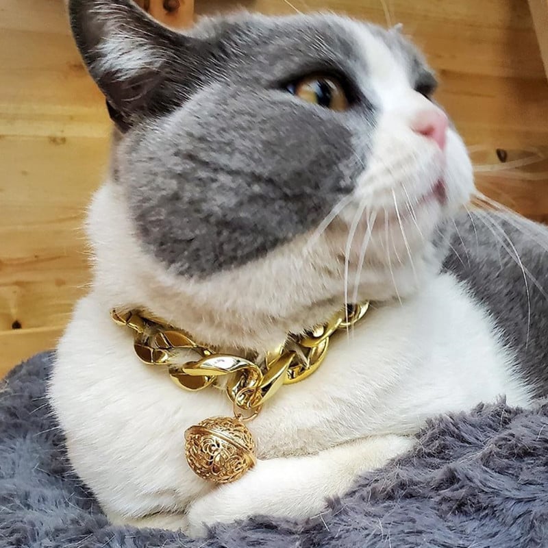 Kutyák számára általános használatra szánt nyakörv monokróm mintával, anyag: gyanta, stílus: hip-hop, minden évszakra (Monokróm minta; Anyag: gyanta; Stílus: hip-hop; Általános használat; Egész évben)