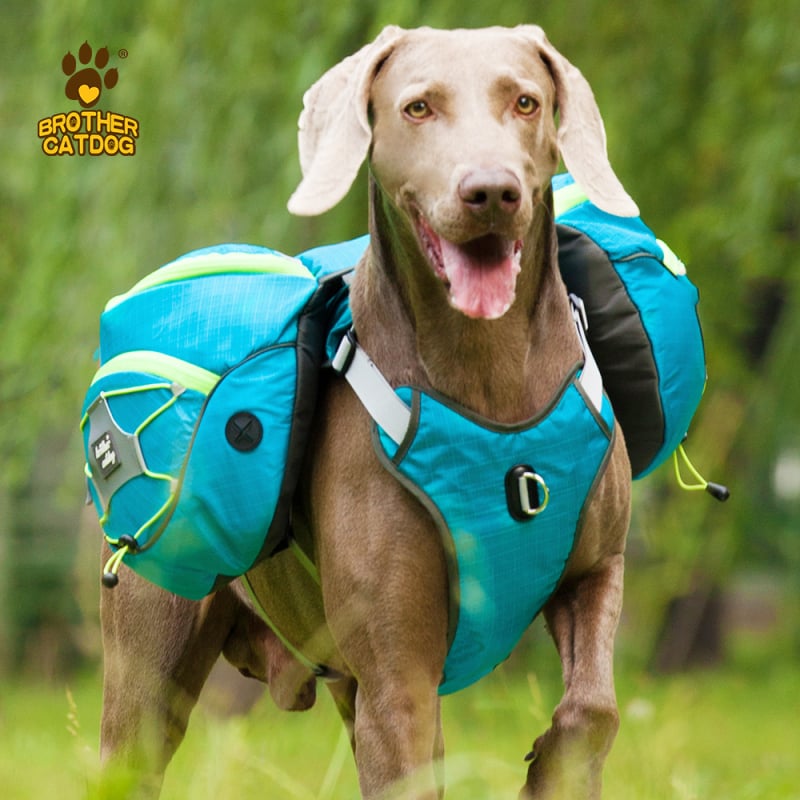Kutyák súlyveste, állítható mellkas- és háthámhoz kültéri tevékenységekhez — Nylon; márka Cat brother and dog brother; puha anyag