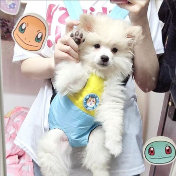 Geantă pentru câine cu plasă pe piept, respirabilă, tip rucsac-vestă, pentru câini mici și mijlocii; Material: Oxford; Model: Animale; Duritate: Medie; Origine: Zhejiang; Categorie: Geantă pentru animale de companie