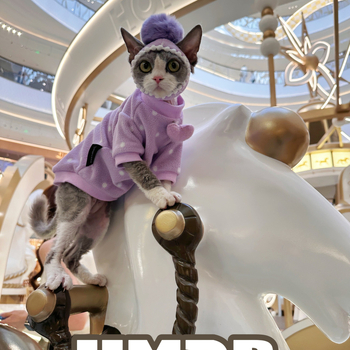 Odjeća za mačke Devon Rex s kapom – Unisex, odjeća za kućne ljubimce, Materijal: svila cvjetni motiv, Univerzalni stil