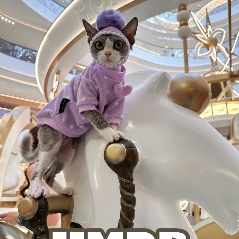 Odjeća za mačke Devon Rex s kapom – Unisex, odjeća za kućne ljubimce, Materijal: svila cvjetni motiv, Univerzalni stil