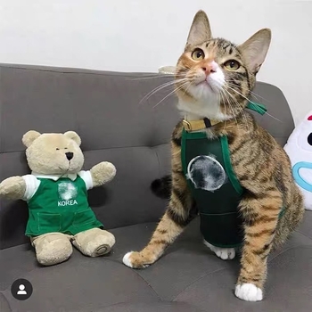 Vesta pentru animale de companie - Potrivire universală; Material: Alt; IP Autorizație: Nu; Import: Nu; Categoria: Îmbrăcăminte pentru animale