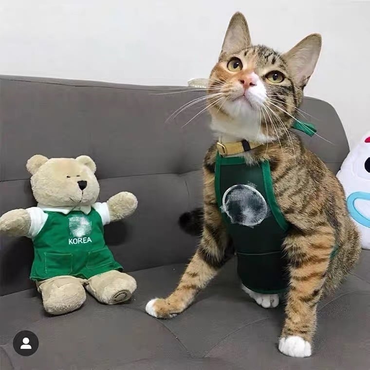 Vesta pentru animale de companie - Potrivire universală; Material: Alt; IP Autorizație: Nu; Import: Nu; Categoria: Îmbrăcăminte pentru animale