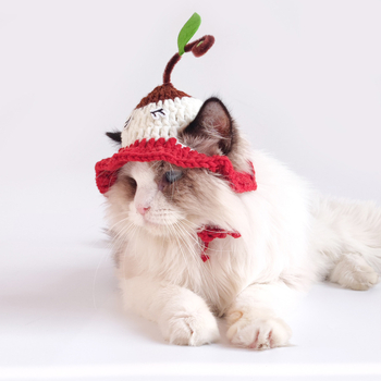 Állatbarát fejfedő macskáknak és kutyáknak, kézzel horgolt, broderált, velúr fonalból, színösszevetés mintázat, univerzális illeszkedés