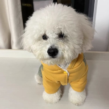 Îmbrăcăminte pentru animale de companie – Haine toamnă-iarnă îngroșate, costumul transformabil cald pentru patrupede