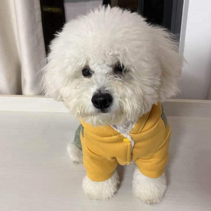Îmbrăcăminte pentru animale de companie – Haine toamnă-iarnă îngroșate, costumul transformabil cald pentru patrupede