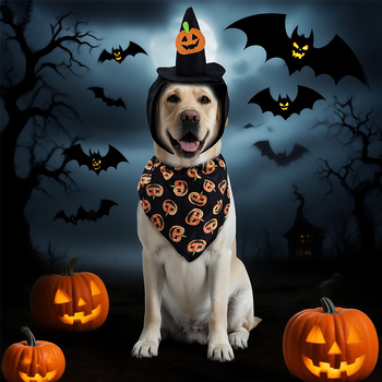 Costum de transformare pentru animale de companie, set cu pălărie de Halloween și eșarfă triunghiulară, poliester, stil leisure, marcă DogLemi