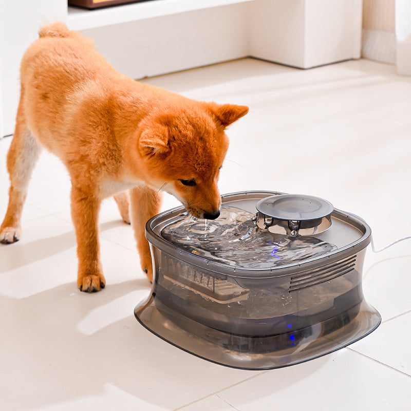 Fontana za vodu za pse i mačke s automatskim filtriranjem, cirkulacijom vode, velikim kapacitetom, uklonjivim dizajnom