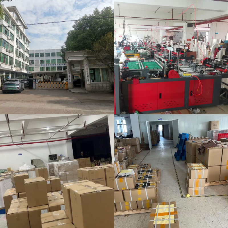 Pungi foto cu dublu strat, sigilate cu OPP, lungimea sigilării 3 cm, Gongcai, origine Jinhua, Zhejiang, China