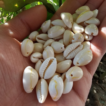 Undersea Baby bijuterii din scoică naturală – material natural, design original, model totem, serie Undersea Baby, brățară și colier DIY