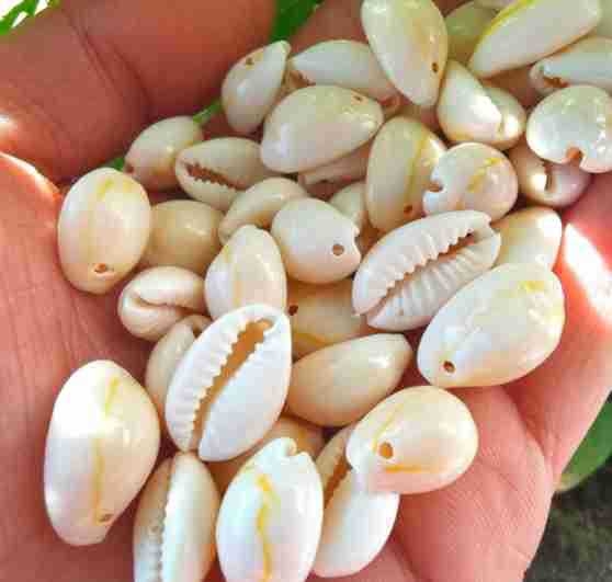 Undersea Baby bijuterii din scoică naturală – material natural, design original, model totem, serie Undersea Baby, brățară și colier DIY