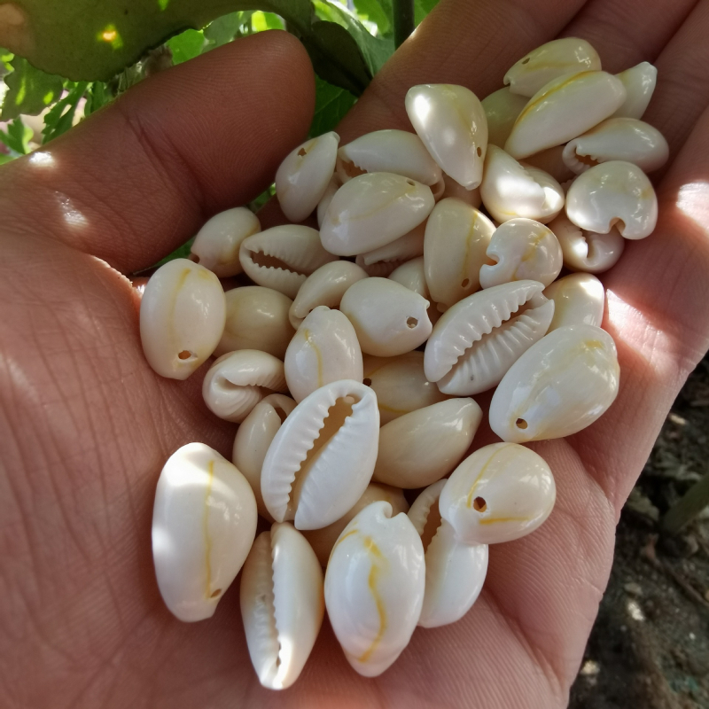 Undersea Baby bijuterii din scoică naturală – material natural, design original, model totem, serie Undersea Baby, brățară și colier DIY