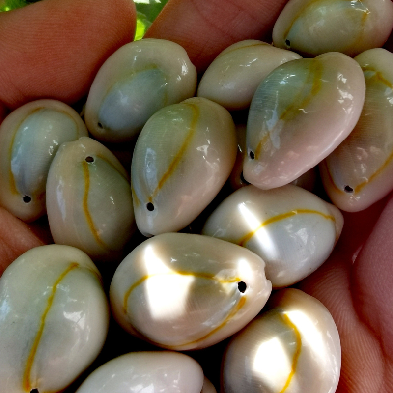 Undersea Baby bijuterii din scoică naturală – material natural, design original, model totem, serie Undersea Baby, brățară și colier DIY