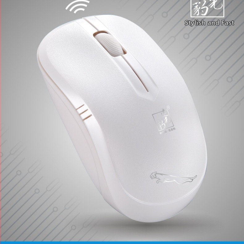 Belaidė optinė pelė, 1600 DPI, ergonomiška, USB 2.4G, modelis 101B