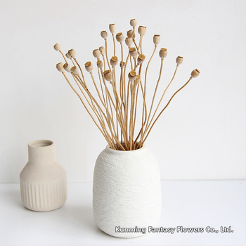 Augļu žāvēti ziedi pušķiem, Wild imaginator, žāvētas lapu vēnas, iepakojums: Opp maisiņš + ārējā kaste