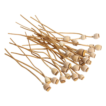 Augļu žāvēti ziedi pušķiem, Wild imaginator, žāvētas lapu vēnas, iepakojums: Opp maisiņš + ārējā kaste